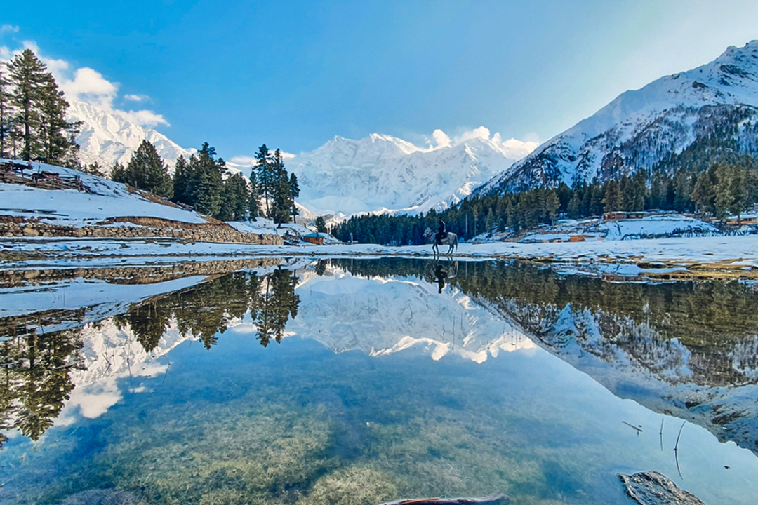 Fairy Meadows