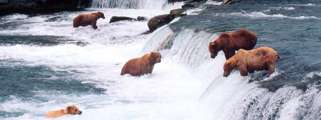 Deosai National Park