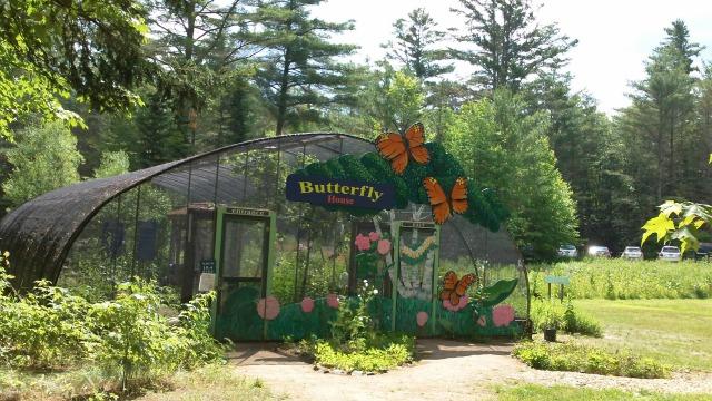 Butterfly House Jallo Park