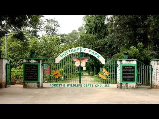 Butterfly House Jallo Park