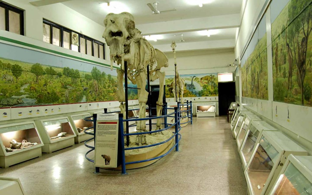 Pakistan Museum of Natural History