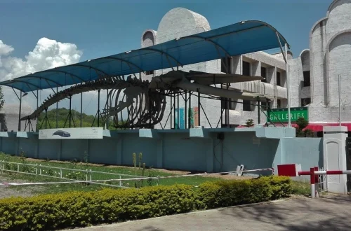 Pakistan Museum of Natural History