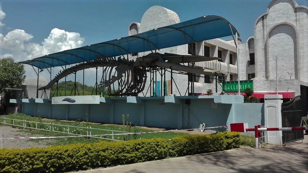 Pakistan Museum of Natural History